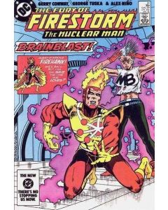 Fury of Firestorm (1982) #  31 (8.0-VF)