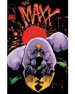 The Maxx (1993) #   1-35 (8.0-VF) Sam Kieth COMPLETE SET
