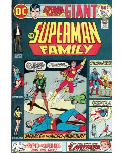 The Superman Family (1974) # 173 (6.0-FN)