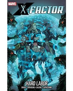 X-Factor TPB (2007) #  13 1st Print (9.2-NM) Hard Labor